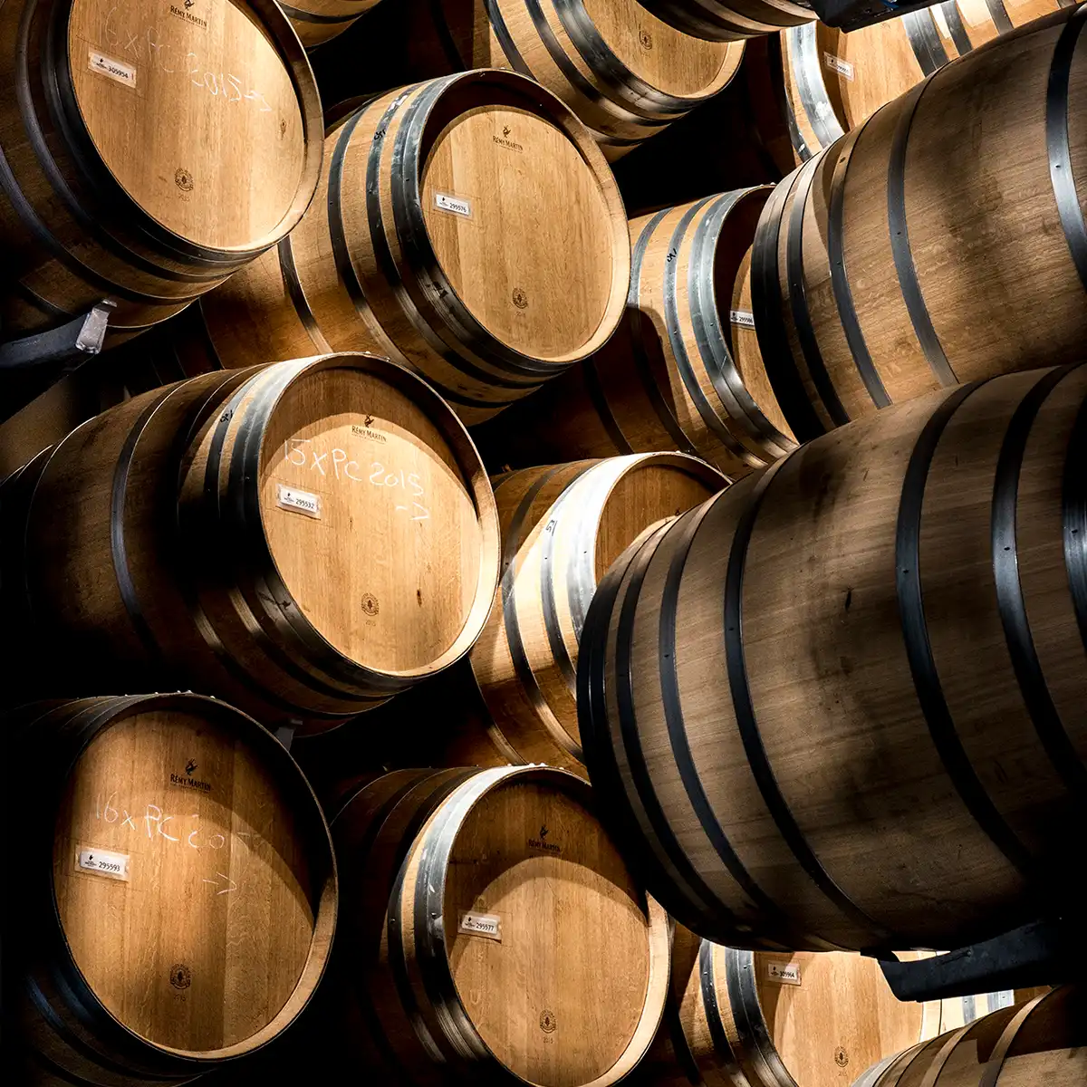 Visitez la Distillerie de Fontagard